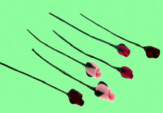 Dollhouse Miniature Roses (12 Pcs)